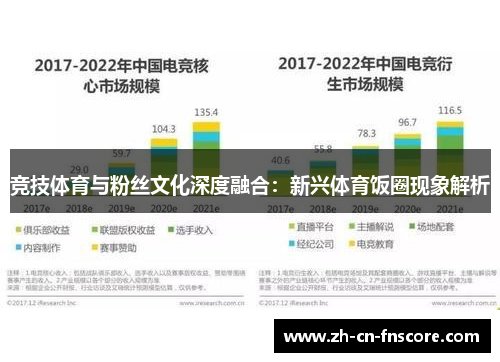 竞技体育与粉丝文化深度融合:新兴体育饭圈现象解析 竞技体育与粉丝文化深度融合:新兴体育饭圈现象解析