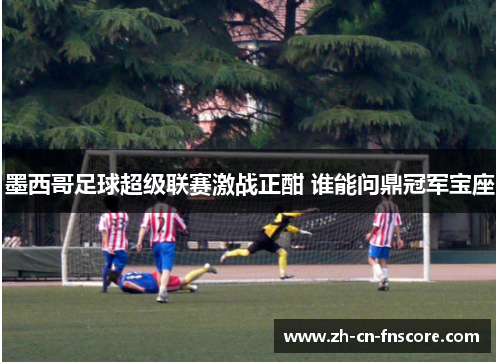 墨西哥足球超级联赛激战正酣 谁能问鼎冠军宝座 墨西哥足球超级联赛激战正酣 谁能问鼎冠军宝座