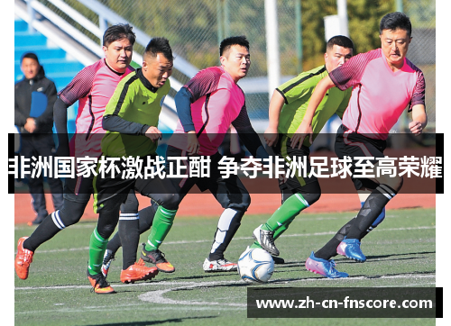 非洲国家杯激战正酣 争夺非洲足球至高荣耀 非洲国家杯激战正酣 争夺非洲足球至高荣耀